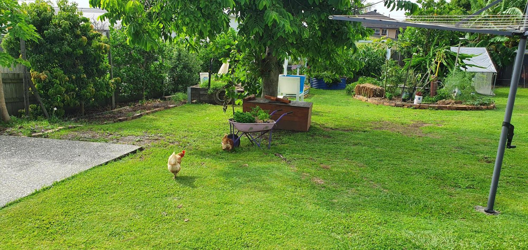 Sustainable B&B By The Bay Brisbane Exterior photo